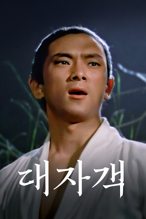 대자객