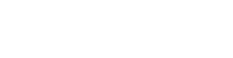 대자객