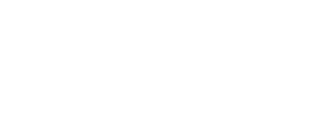 소와 함께 여행하는 법