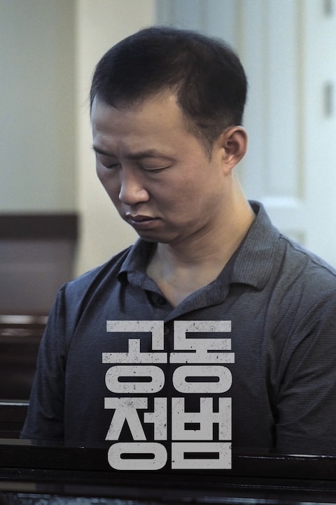 공동정범