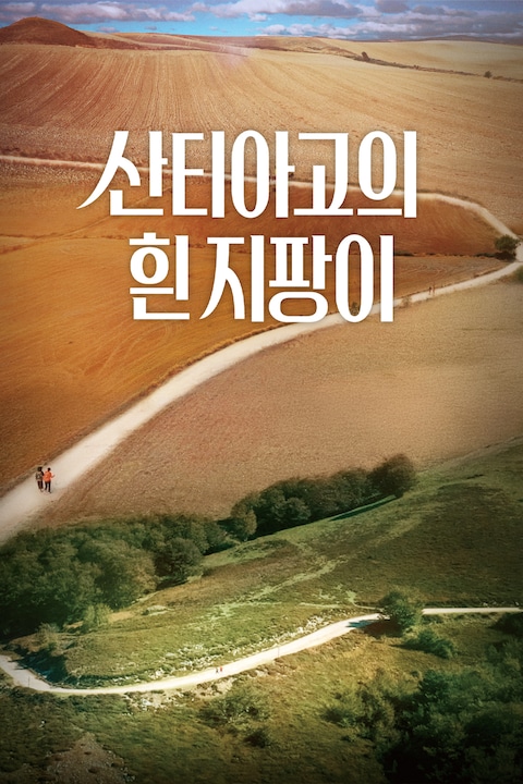 산티아고의 흰 지팡이