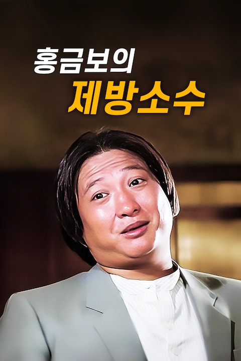 홍금보의 제방소수