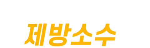 홍금보의 제방소수