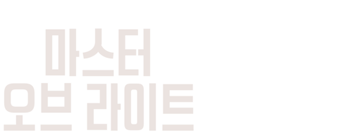 마스터 오브 라이트