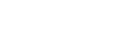 미국의 정신
