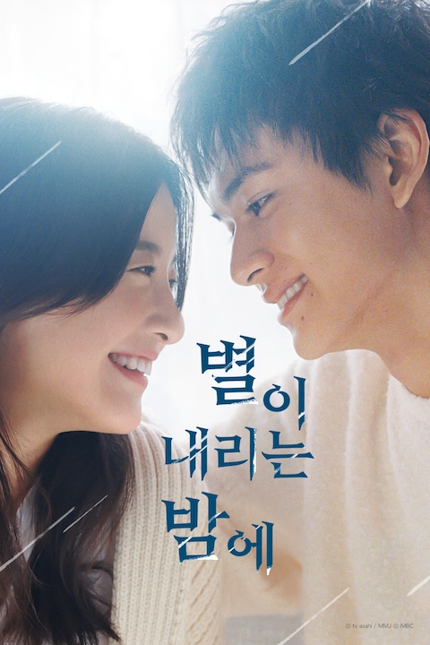 별이 내리는 밤에