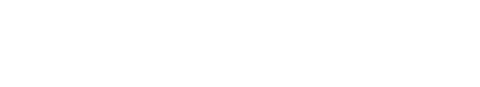 별이 내리는 밤에