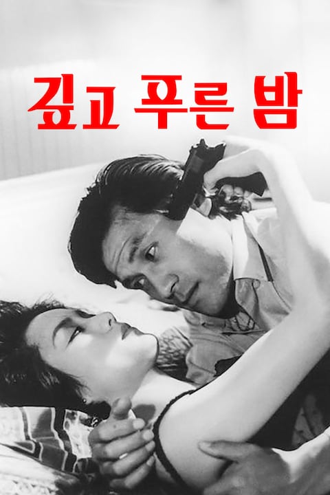 깊고 푸른 밤