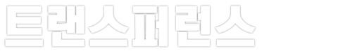트랜스퍼런스