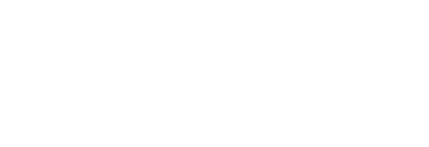 용과사해지치명정인