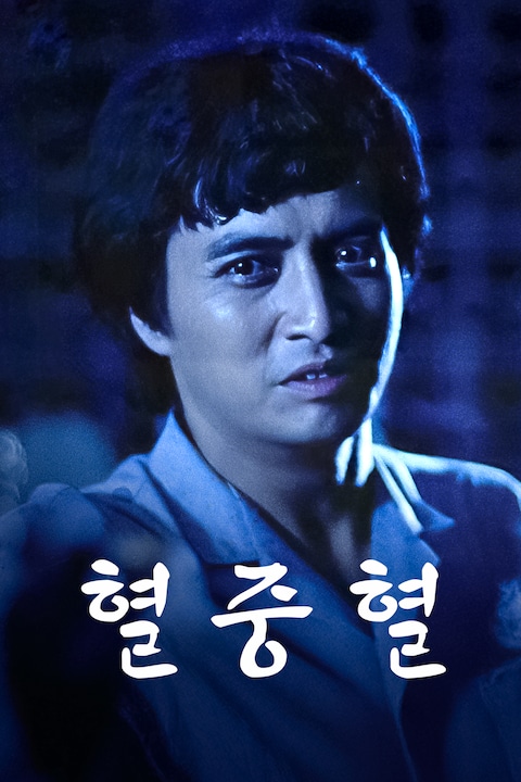 혈중혈