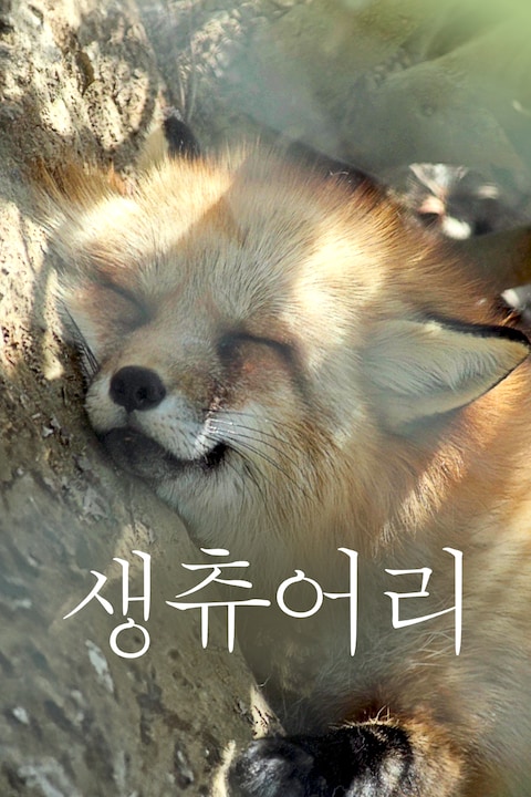 생츄어리