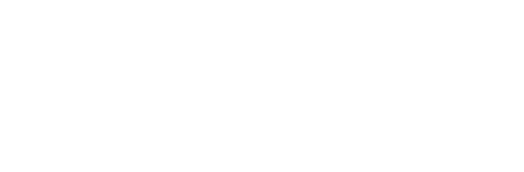 헨리에타 랙스의 불멸의 삶