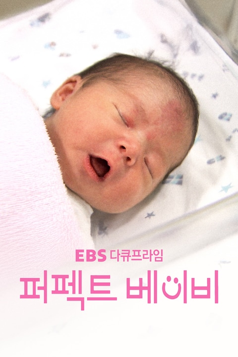 퍼펙트 베이비 | 다큐프라임