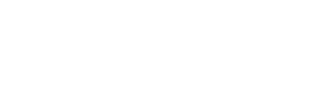 나의 특별한 형제