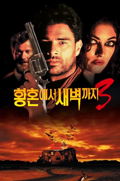 황혼에서 새벽까지 3