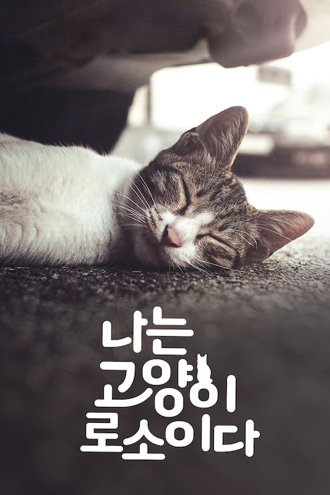 나는 고양이로소이다