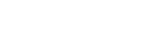 플레지