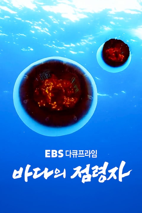 바다의 점령자 | 다큐프라임