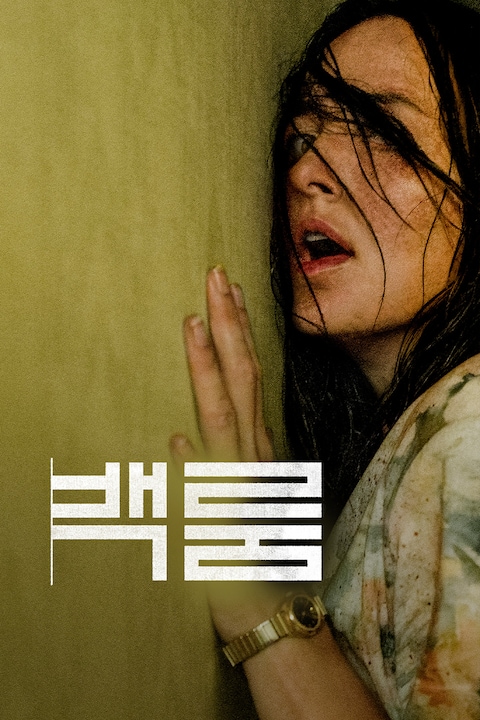 백룸