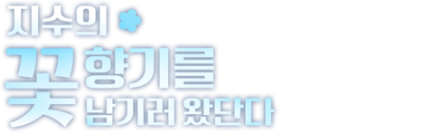 지수의 꽃향기를 남기러 왔단다
