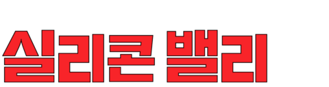 실리콘 밸리