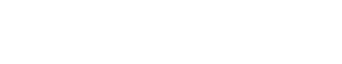 퍼펙트 웨폰