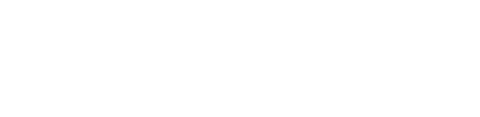 분노의 질주: 더 오리지널
