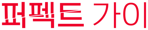 더 퍼펙트 가이
