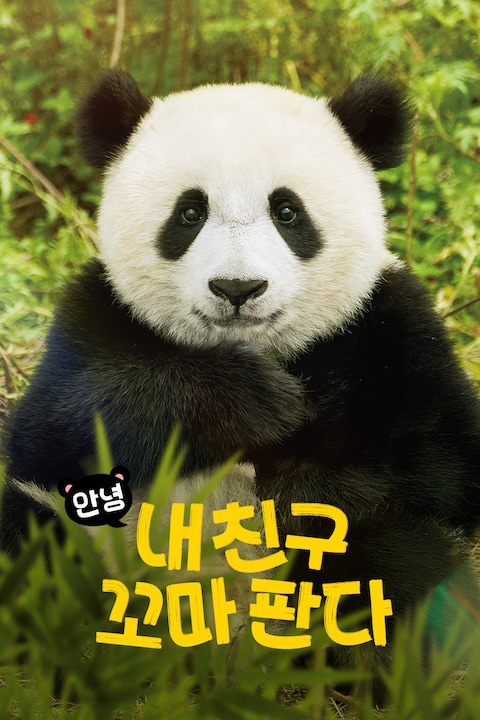 안녕, 내 친구 꼬마 판다