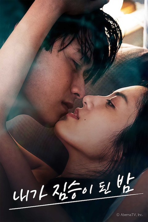 내가 짐승이 된 밤 시즌 1