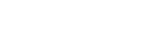 브리짓 존스의 일기