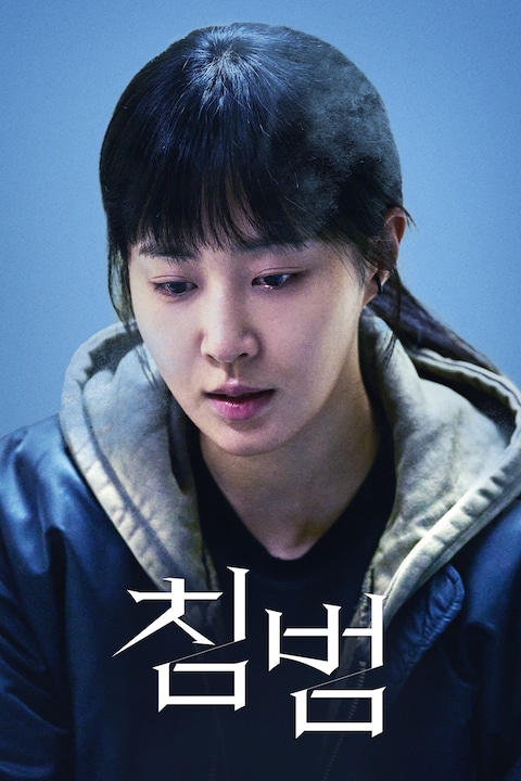 침범