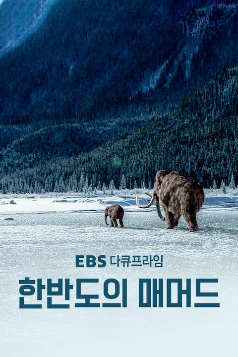 한반도의 매머드 | 다큐프라임