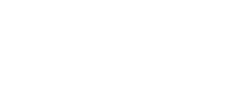 컨페스, 플레치