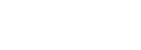 나폴레옹 토레스전투 
