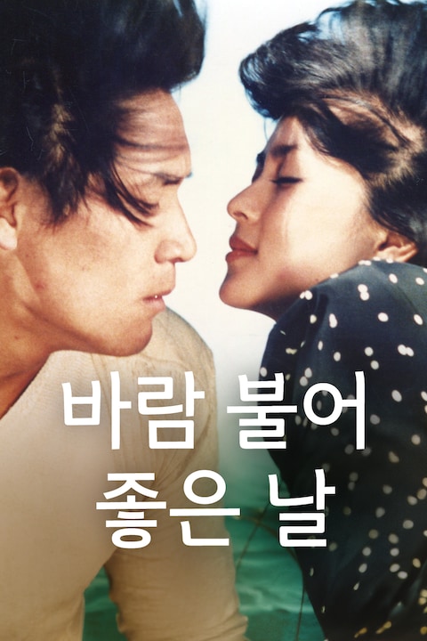 바람불어 좋은 날