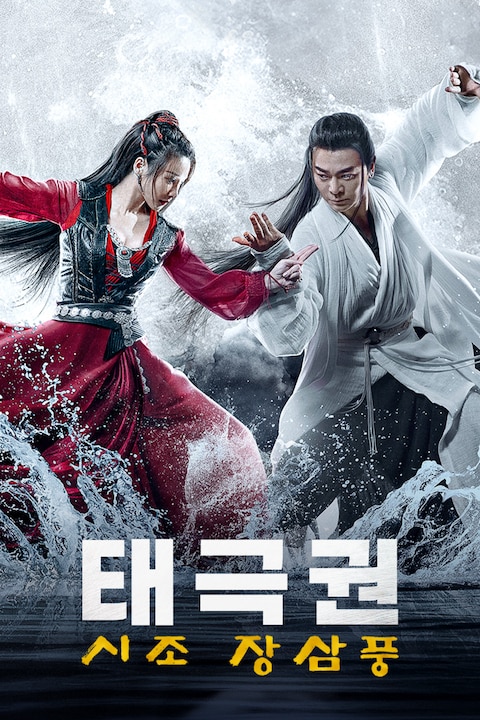 태극권: 시조 장삼풍