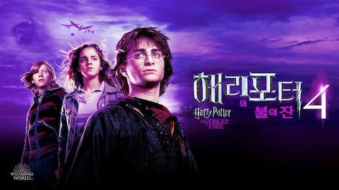 해리 포터와 불의 잔