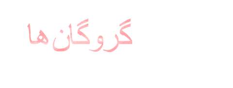 호스티지