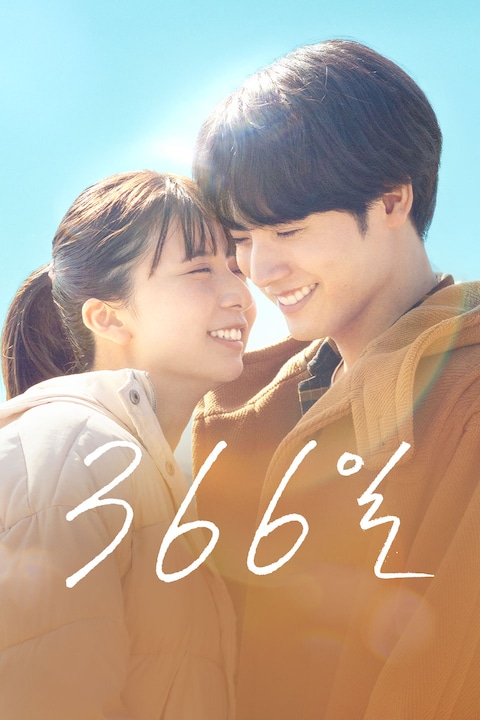 366일