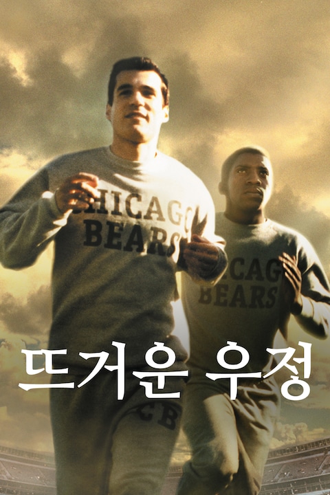뜨거운 우정