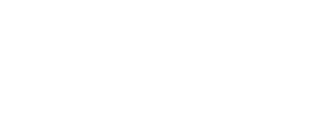 슈퍼 밥 에인스타인 무비