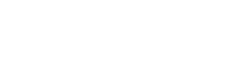 오디션 (1996)