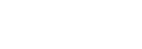 은밀한 공범