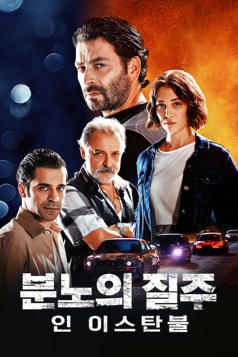 분노의 질주 인 이스탄불