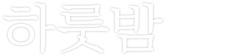 하룻밤