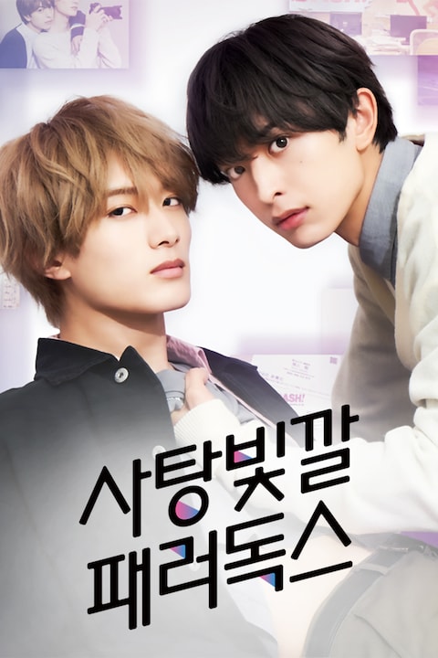 사탕빛깔 패러독스