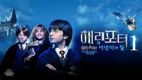 해리 포터와 마법사의 돌