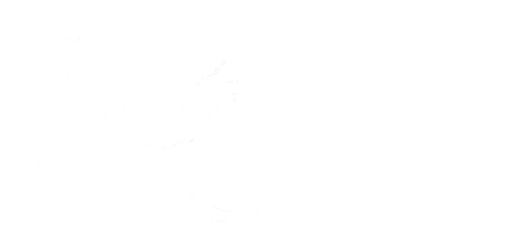 그물
